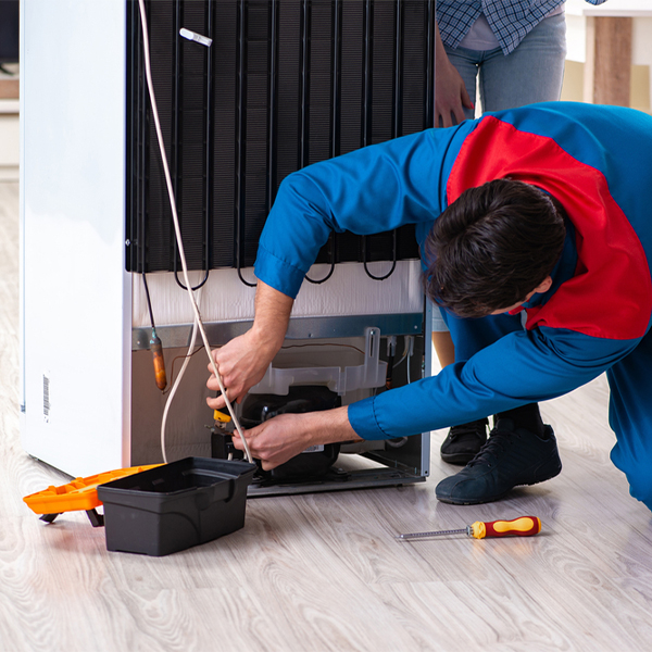 what are the common refrigerator repair services in Goodview VA